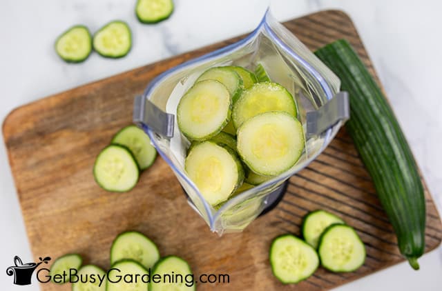 Filling freezer baggies with cucumbers