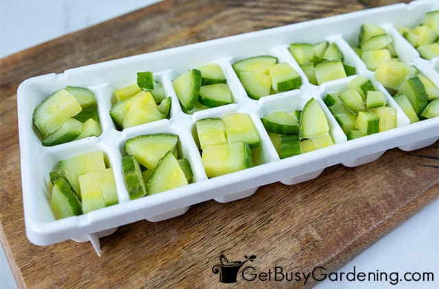 Freezing chopped cucumbers in ice cube tray
