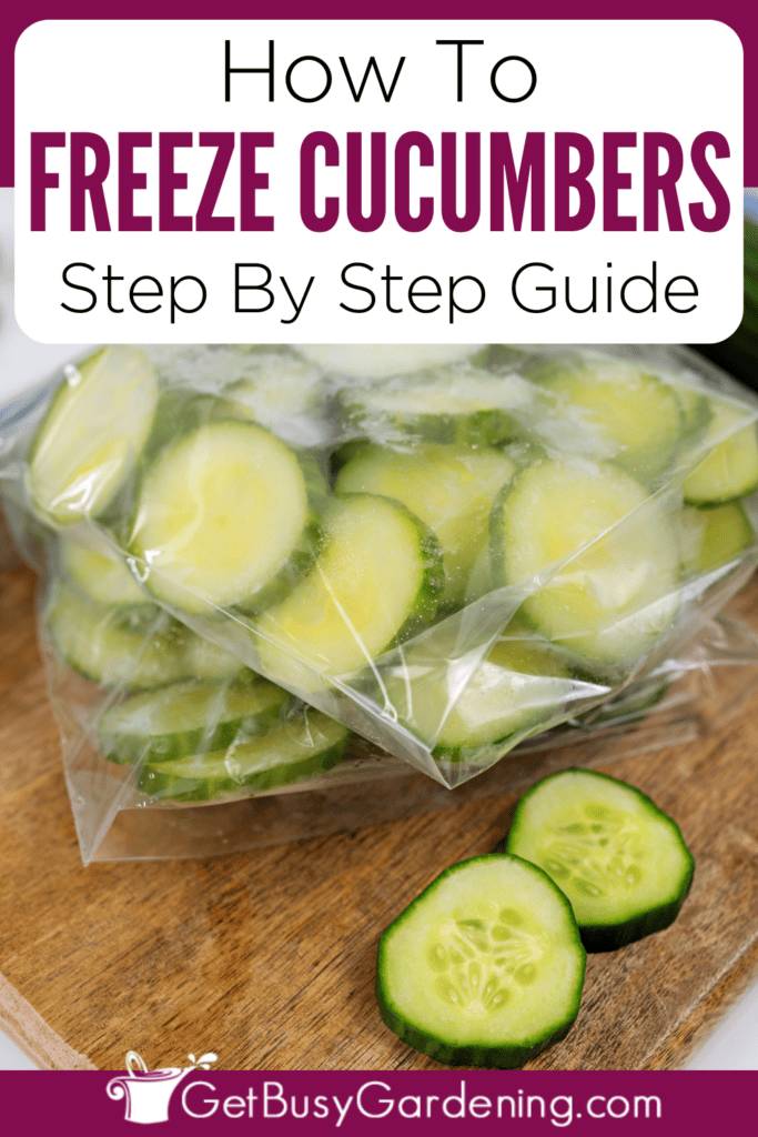 How To Freeze Cucumbers Step By Step Guide