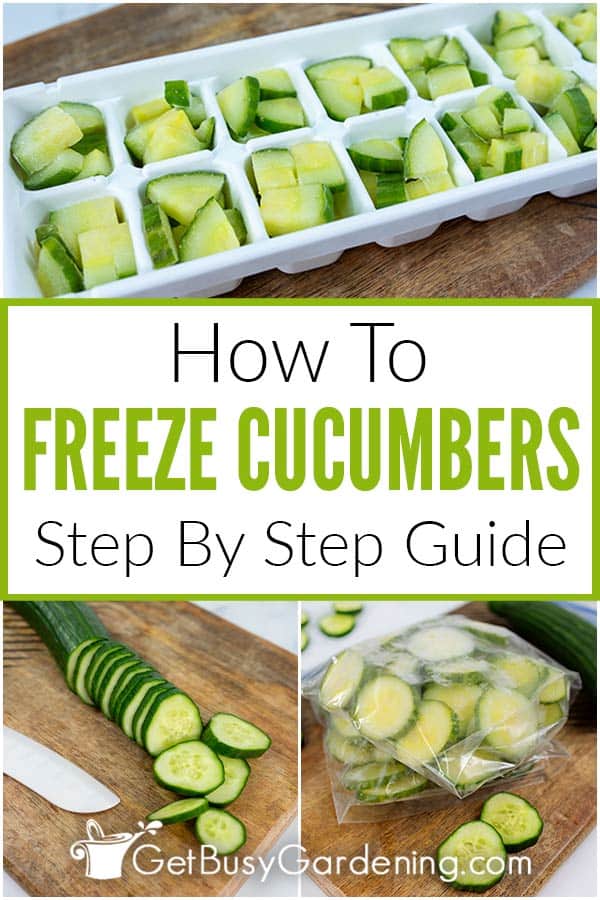 Freezing Cucumbers The Complete How To Guide Get Busy Gardening 3956