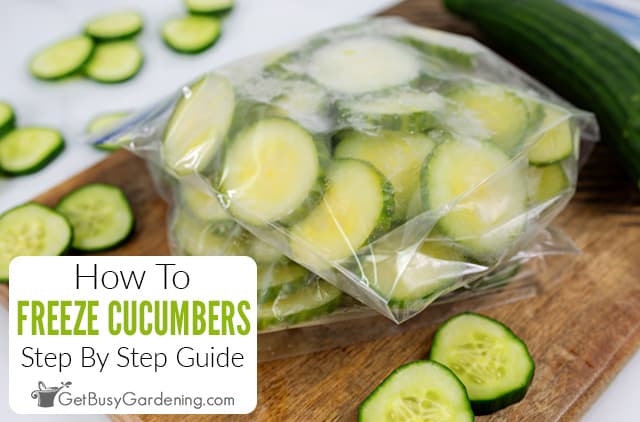 How To Freeze Cucumbers The Right Way