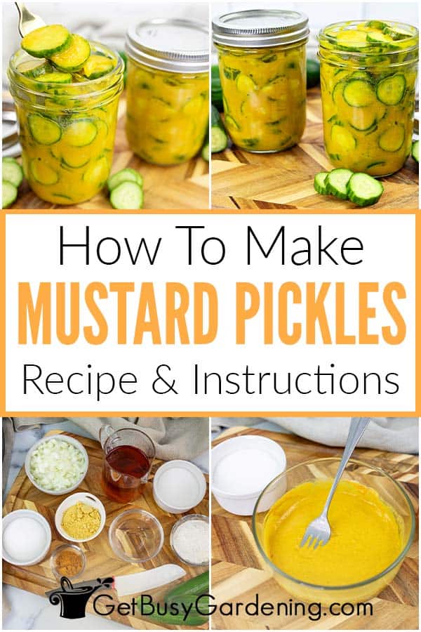 How To Make Mustard Pickles Recipe & Instructions