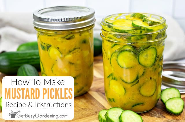 How To Make Mustard Pickles (Recipe)