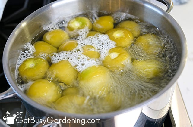Par boiling whole tomatillos for canning