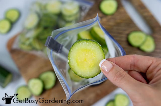 Putting cut cucumbers into freezer bags
