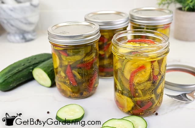 Refrigerator sweet pickles ready to enjoy