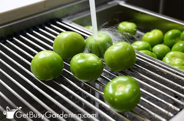 Rinsing tomatillos before canning
