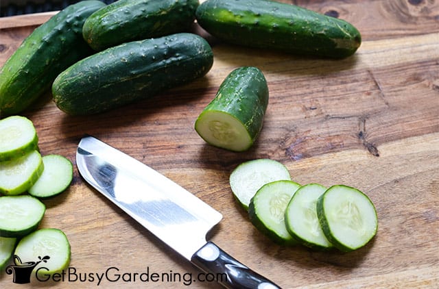 Slicing cucumbers for sweet pickles