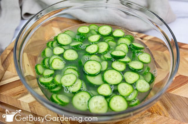 Soaking cucumbers for mustard pickles