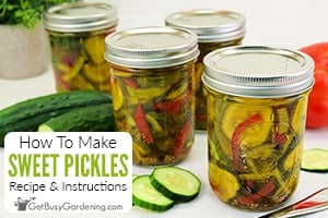 Quick & Simple Old Fashioned Sweet Pickle Recipe