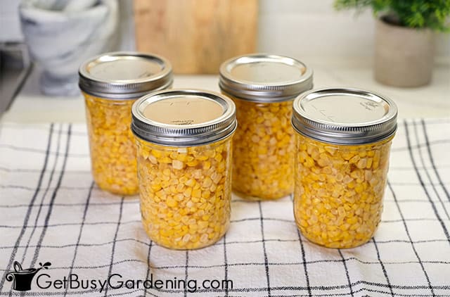 Canned corn cooling after processing