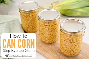 How To Can Corn