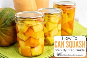 How To Can Squash