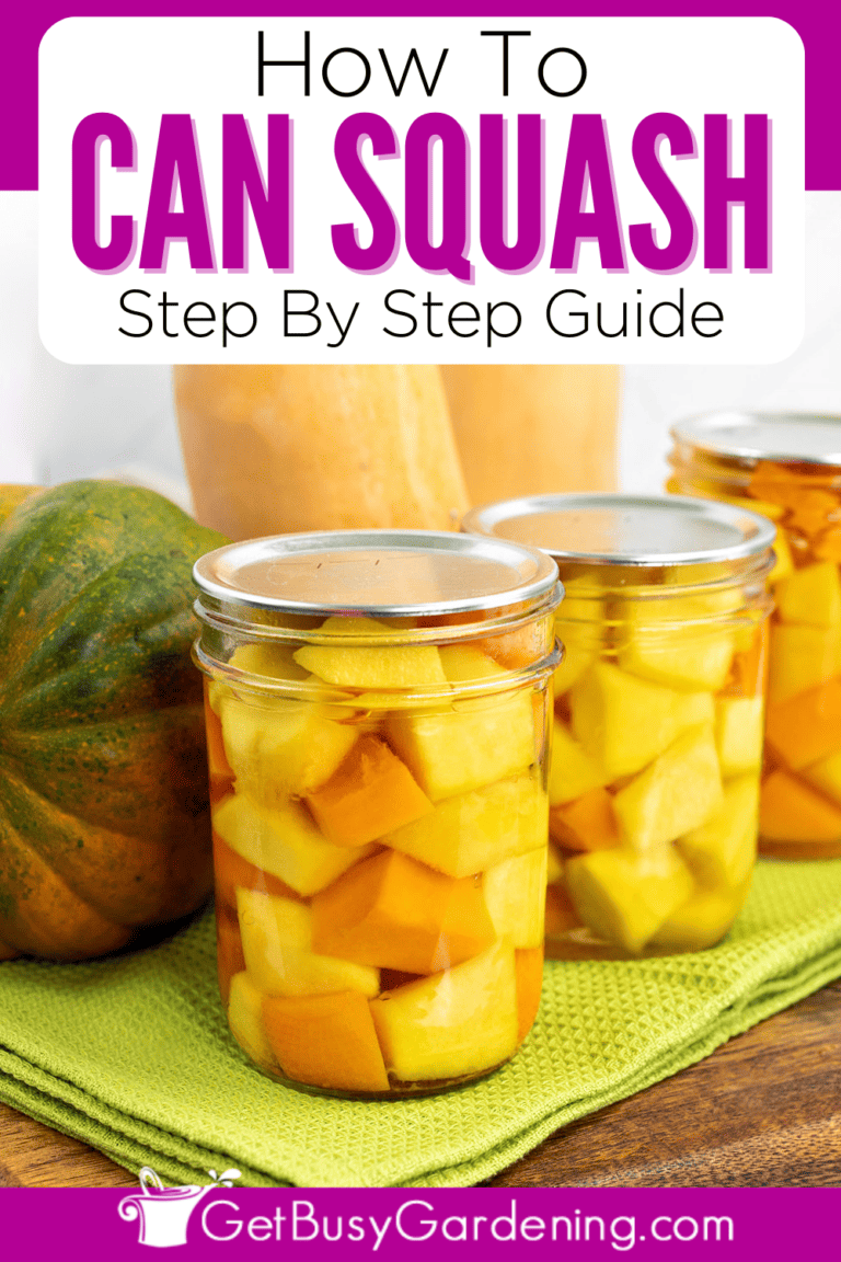 Canning Squash The Complete How To Guide Get Busy Gardening