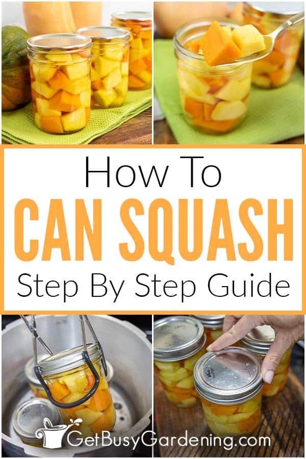 How To Can Squash Step By Step Guide