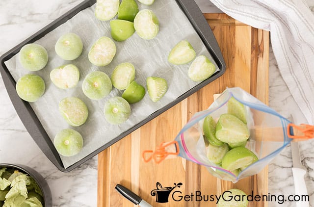 Filling freezer baggies with tomatillos