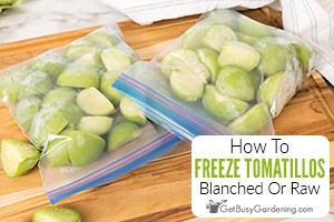 How To Freeze Tomatillos (With Or Without Blanching)