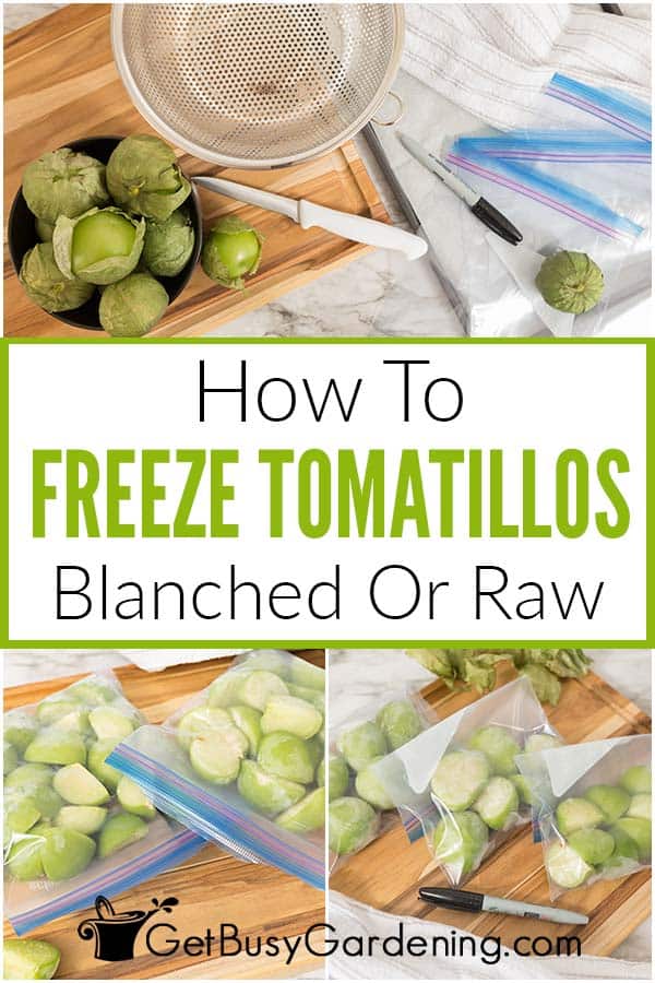 How To Freeze Tomatillos Blanched Or Raw