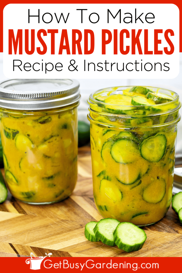 Mustard Pickles Recipe Quick Easy And Delicious Get Busy Gardening