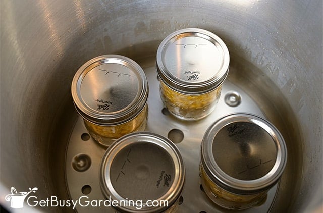 Pressure canner filled with jars of corn