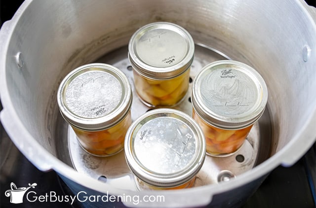 Pressure canner filled with jars of squash