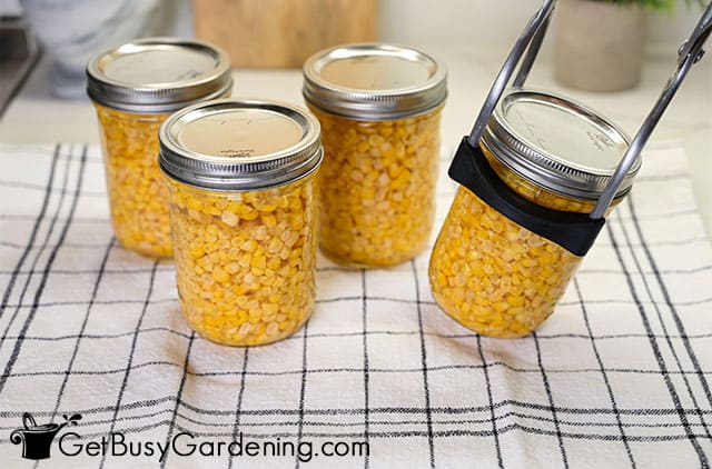 Removing jars of corn from canner