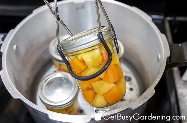 Removing jars of squash from canner
