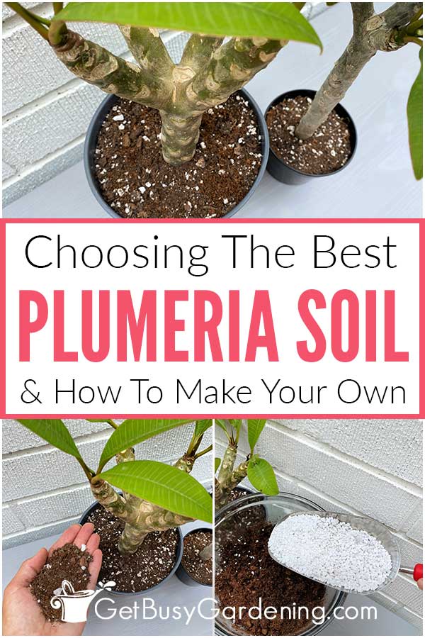 Choosing The Best Plumeria Soil & How To Make Your Own