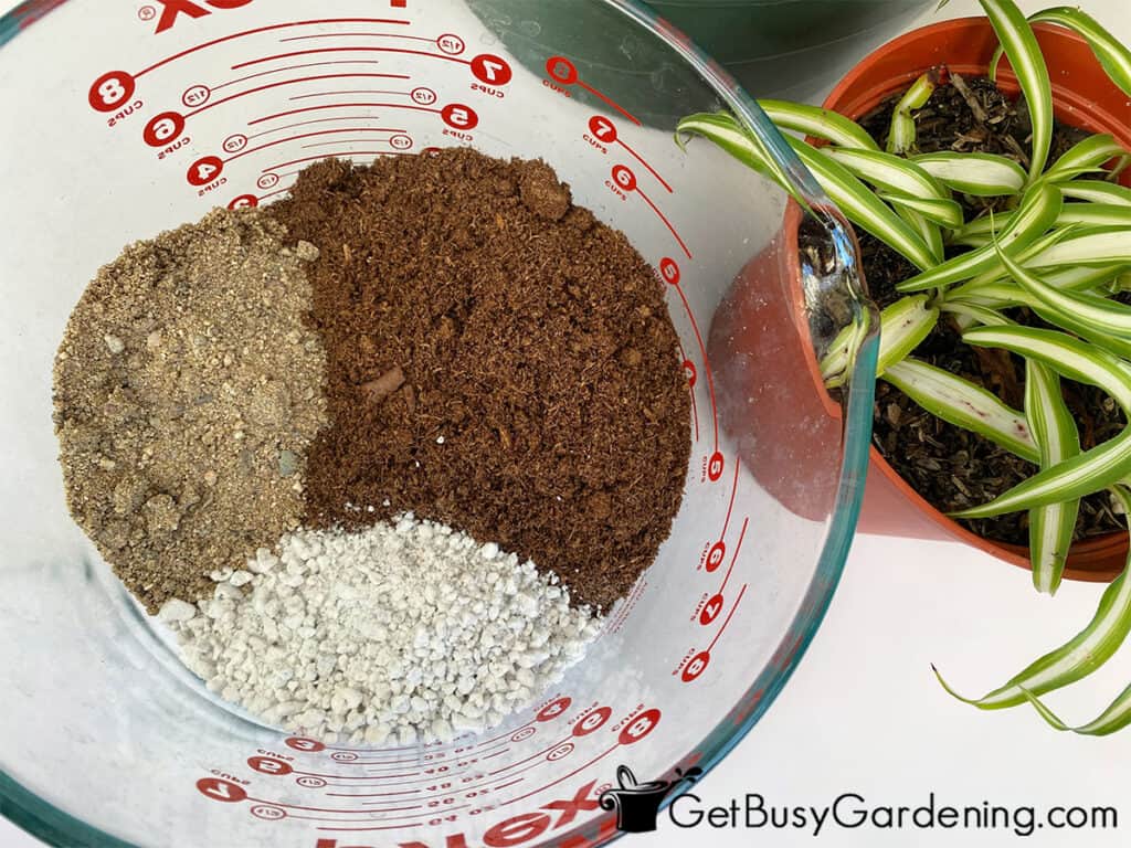 Ingredients for my spider plant soil recipe