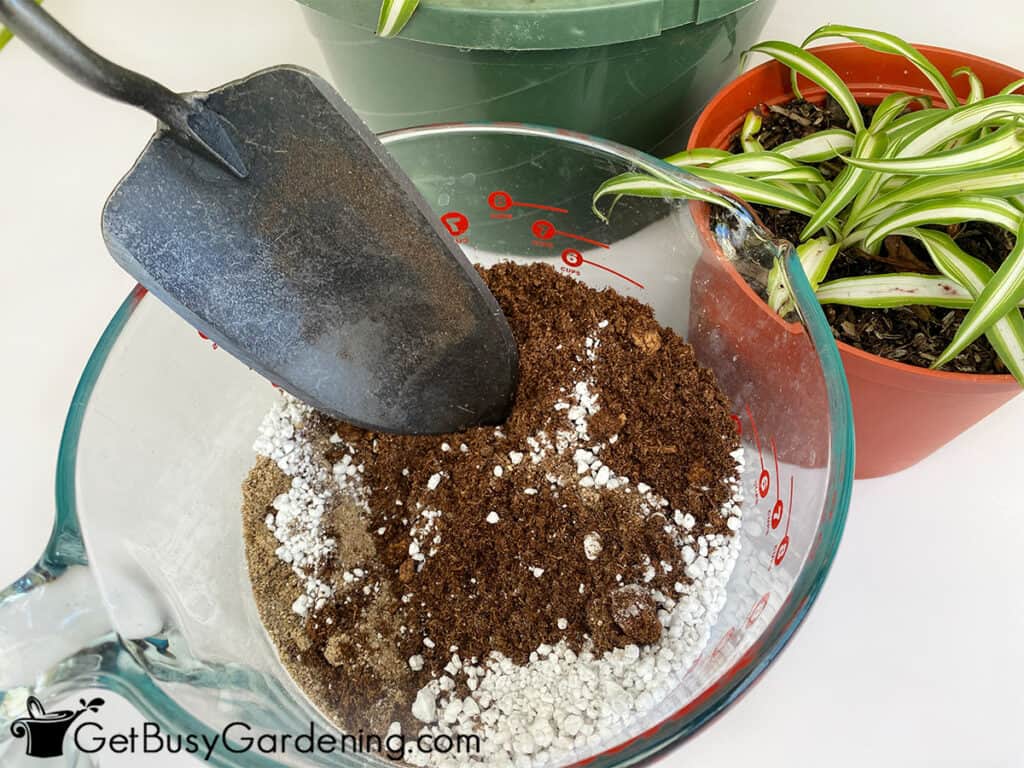 Mixing potting soil for spider plants