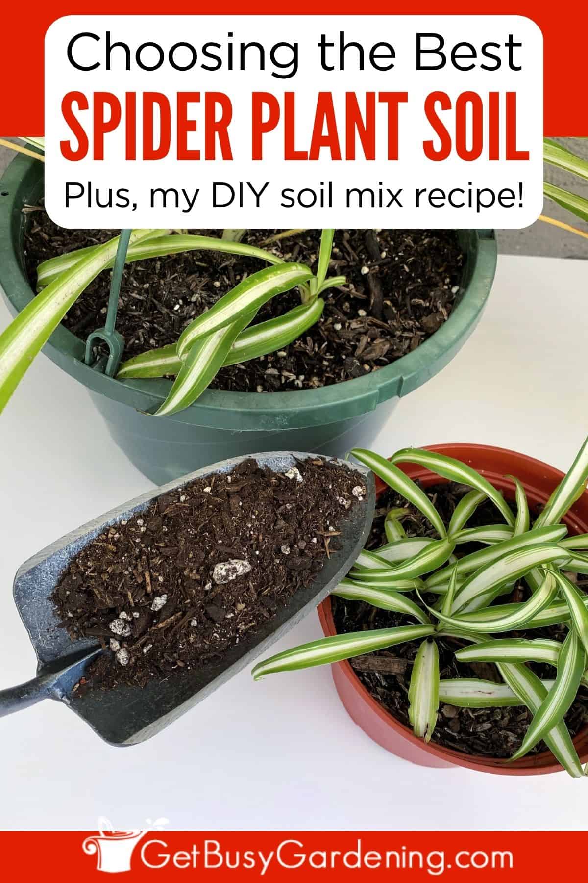 Spider Plant Soil & How To Choose The Best Potting Mix Get Busy Gardening