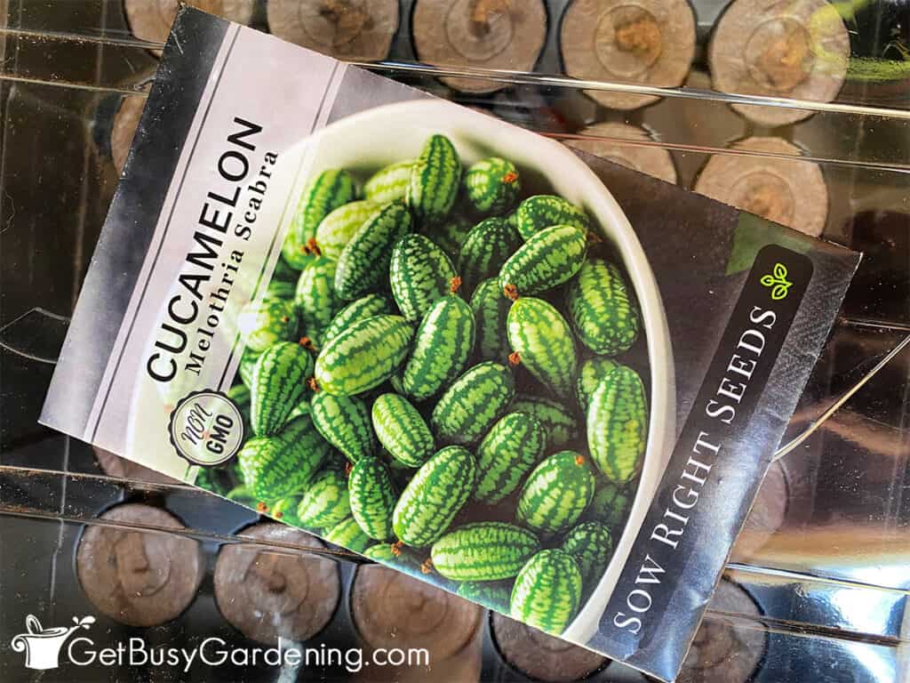 Cucamelons seed packet