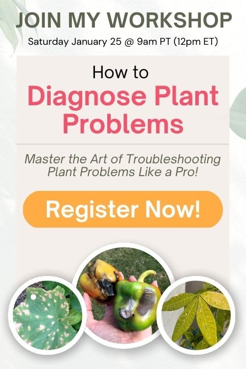 Register now for my workshop "How to Diagnose Plant Problems".