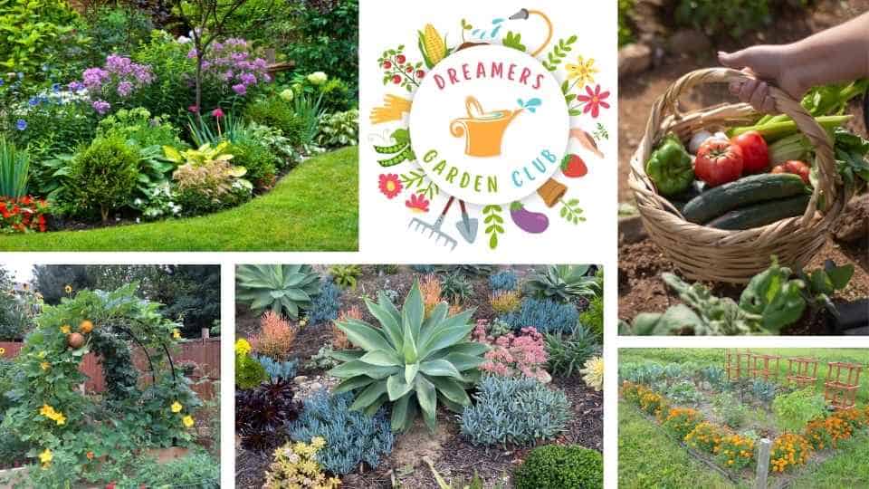 Dreamers Garden Club Graphic.