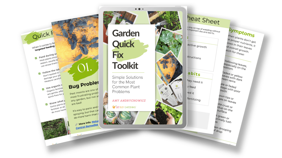 Quick Fix Toolkit Guide image.
