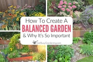 Four-photo collage of my flower, vegetable, and shade gardens with text overlay: "How To Create A Balanced Garden & Why It’s So Important."