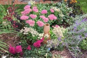 Creating a Healthy Balanced Garden