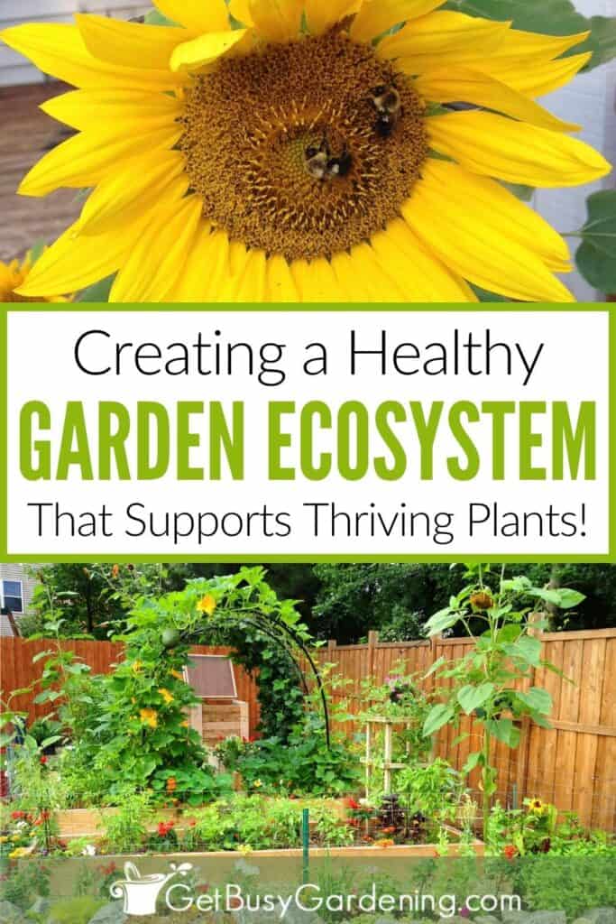 Two photo collage image showing bees on a yellow sunflower above the text "Creating a Healthy Garden Ecosystem That Supports Thriving Plants!" with my healthy vegetable garden below.
