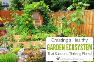 Garden photo with text overlay: "Creating a healthy garden ecosystem That Supports Thriving Plants!".