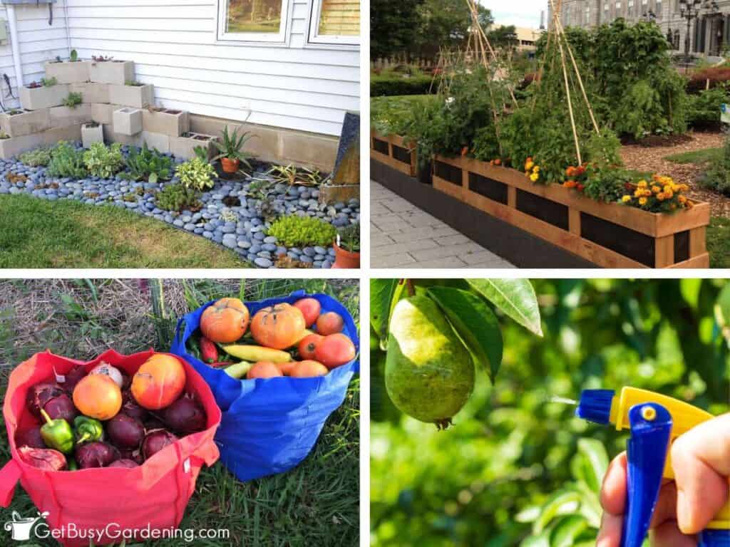 Four picture collage showing common mistakes that can throw your garden out of balance.