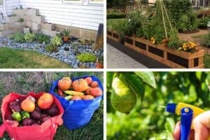 5 Biggest Mistakes That Throw Your Garden Out of Balance