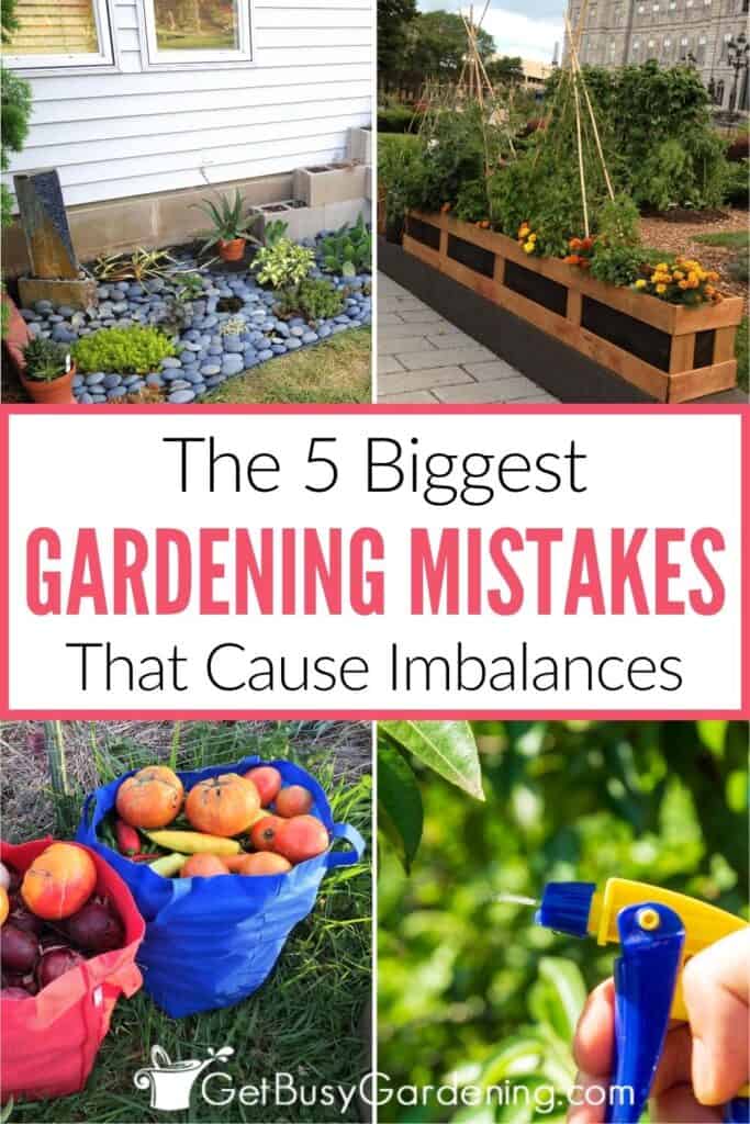Four-photo collage showing a landscaped garden bed, a productive raised vegetable garden, bags of freshly harvested vegetables, and closeup of a hand spraying a plant. Text reads: "The 5 Biggest Gardening Mistakes That Cause Imbalances."