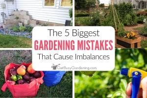 Four picture collage showing common mistakes that can throw your garden out of balance.