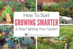 How To Start Growing Smarter & Stop Fighting Your Garden - blog post feature image with text overlay.