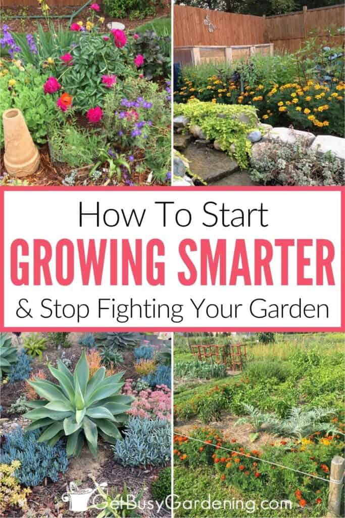 Four-photo collage of healthy and thriving flower, vegetable, and succulent gardens with text that reads "How To Start Growing Smarter & Stop Fighting Your Garden."