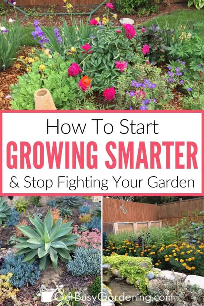 Collage with a colorful flower garden above two photos, one of a succulent garden and on of a vegetable garden lined with orange marigolds. Text reads "How To Start Growing Smarter & Stop Fighting Your Garden."