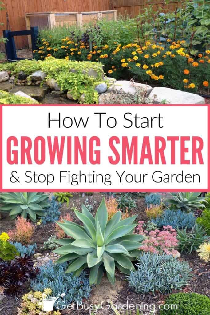 Collage showing a healthy vegetable garden lined with orange flowers and a large succulent garden, with text that reads "How To Start Growing Smarter & Stop Fighting Your Garden."