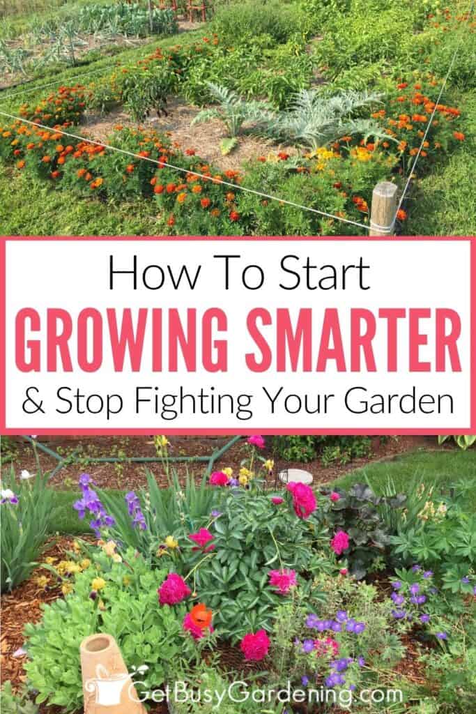 Collage showing a thriving vegetable garden filled healthy plants and a colorful flower garden, with text that reads "How To Start Growing Smarter & Stop Fighting Your Garden."