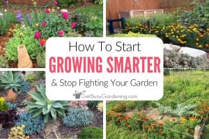 How To Start Growing Smarter & Stop Fighting Your Garden - blog post feature image with text overlay.