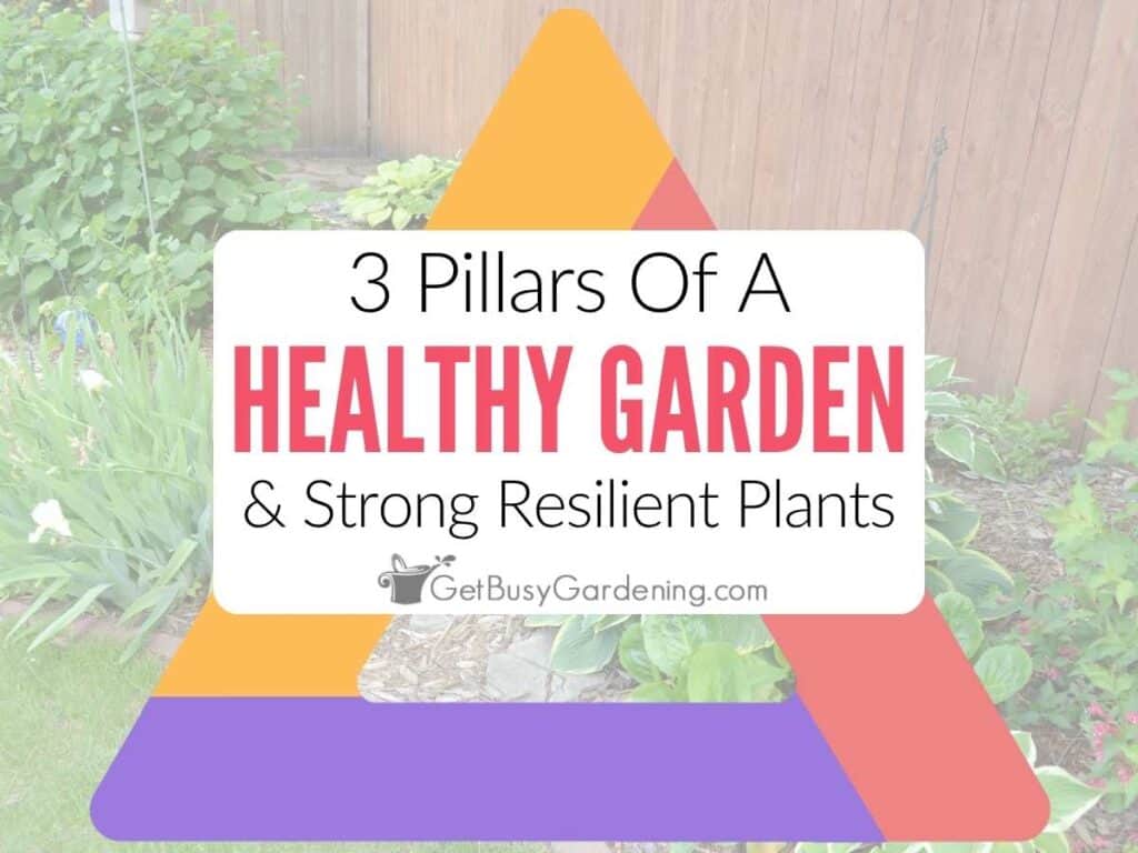 Photo of my garden with a graphic overlay showing the 3 Pillars of a Healthy Garden and the words “3 Pillars of a Healthy Garden & Strong, Resilient Plants.”